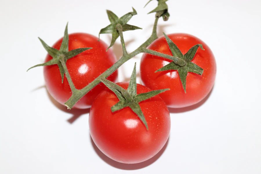 Tomate en Rama