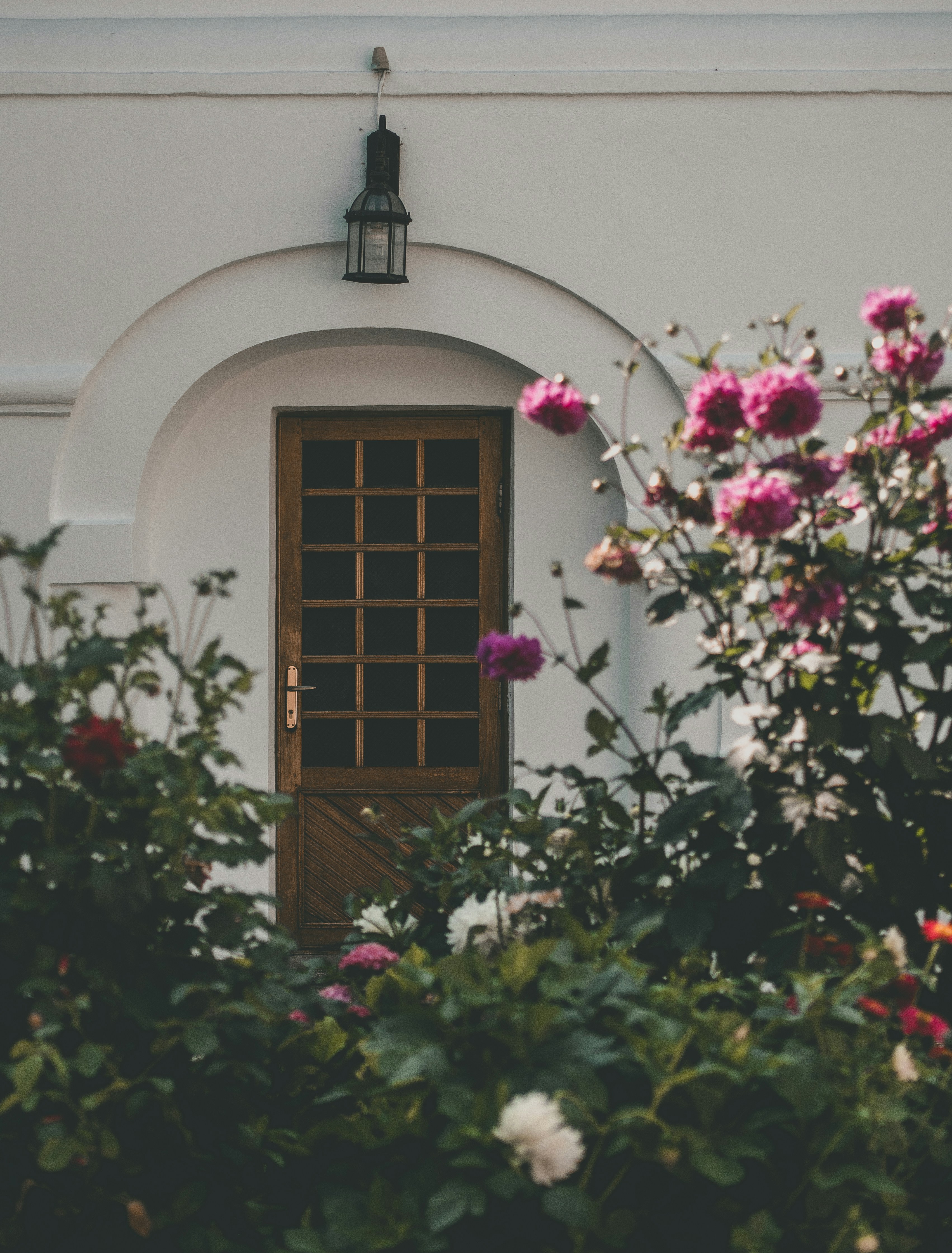 Photo by marta_alexandra