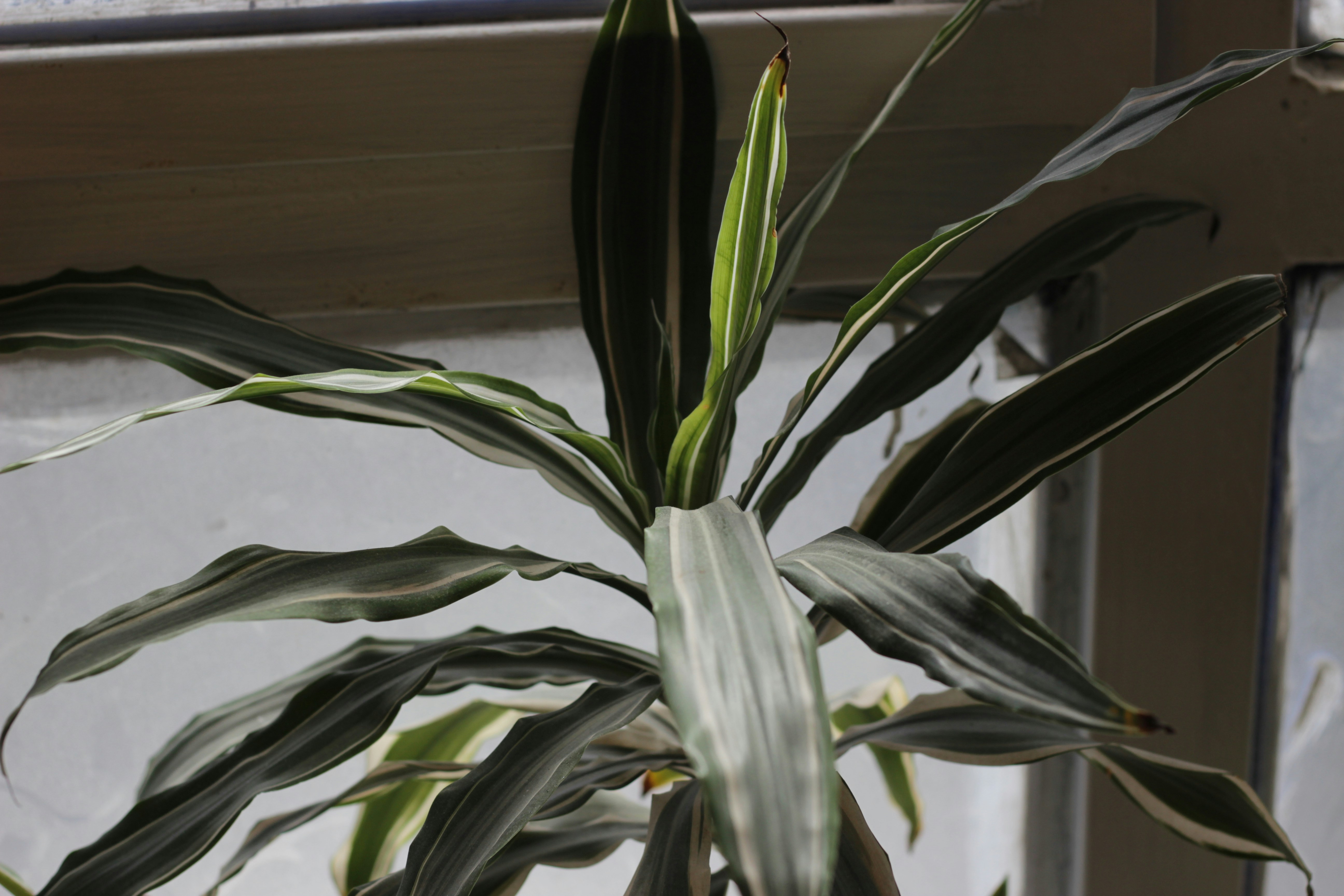 Photo by mohadesemarvi