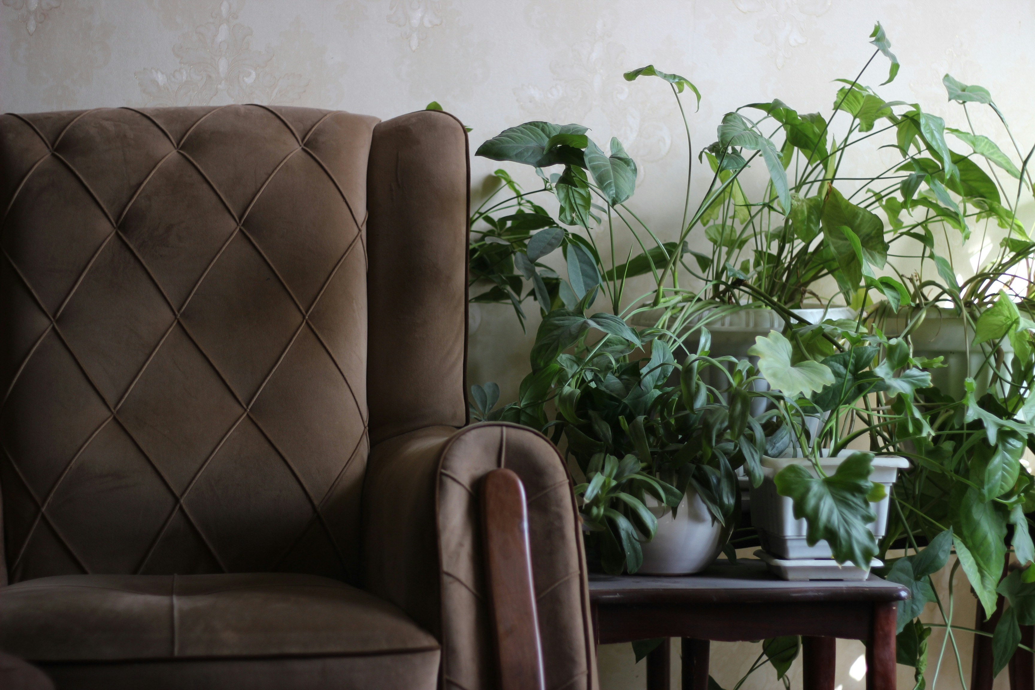 Avoid These Kitchen Remodeling Mistakes for Smart Home Pest Control