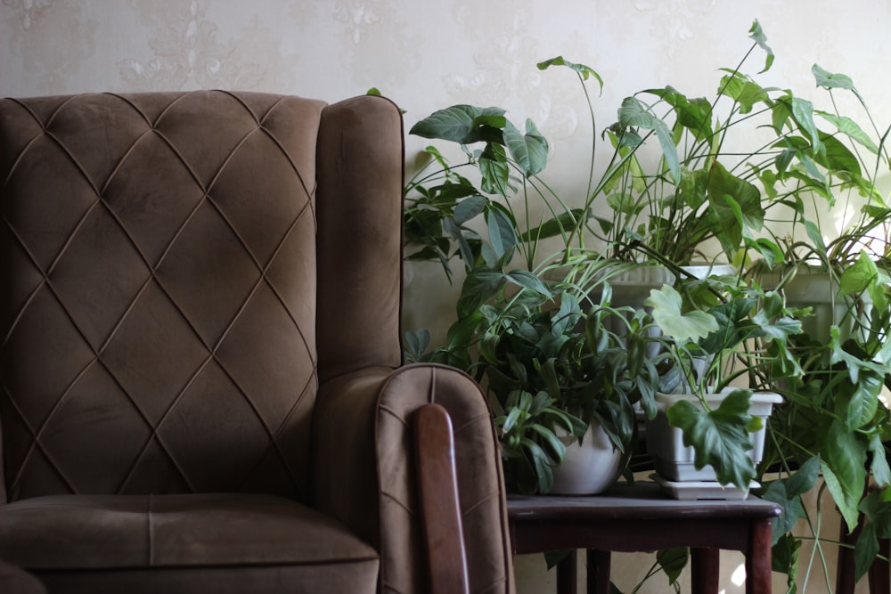 Planta en maceta verde junto a sillón de cuero marrón