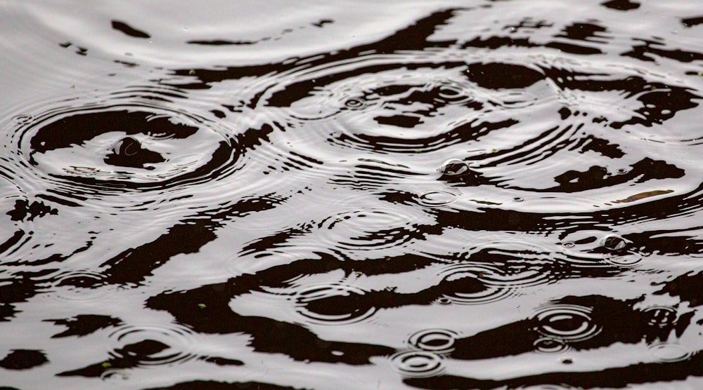 water drops on body of water