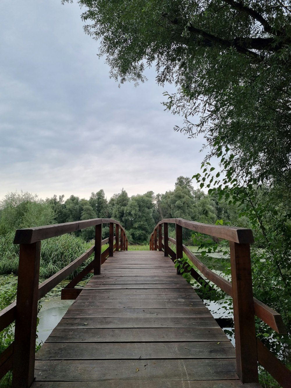 brown wooden bridge near green trees during daytime