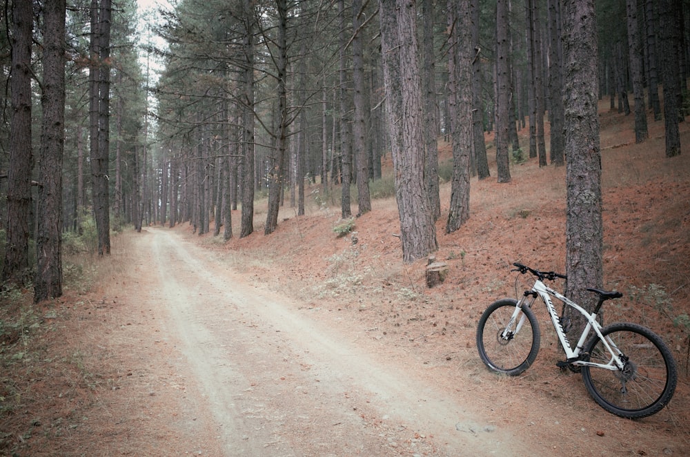black bicycle on dirt road in between trees during daytime