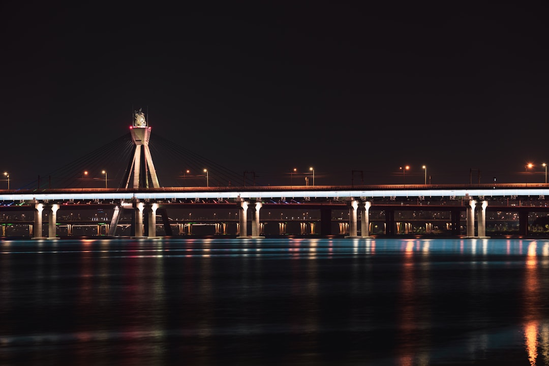 white concrete bridge during night time