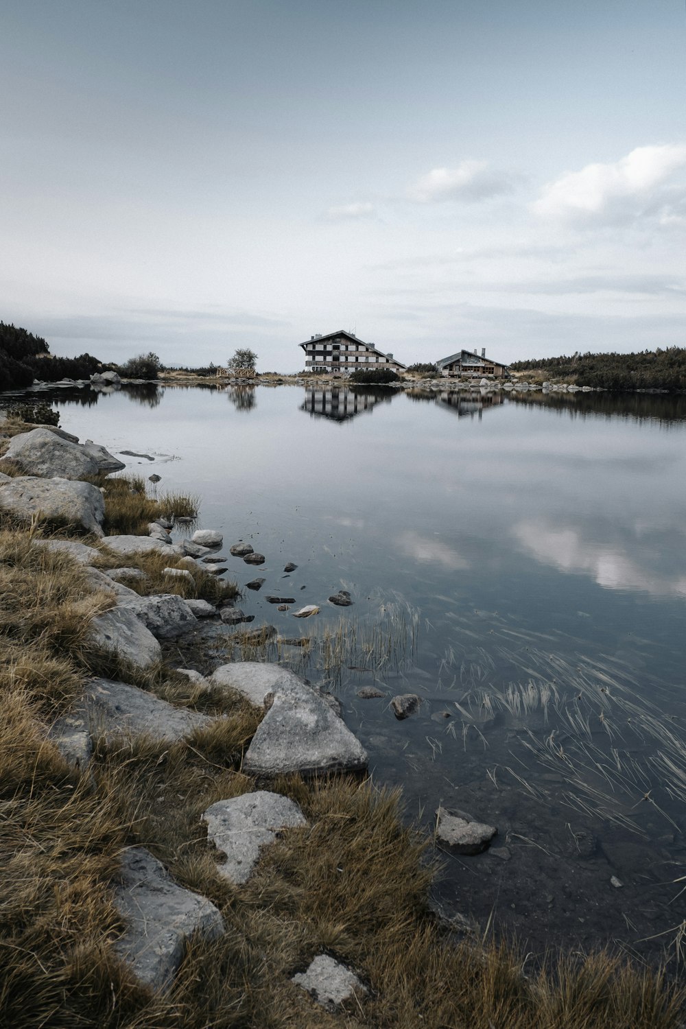 brown grass near body of water during daytime