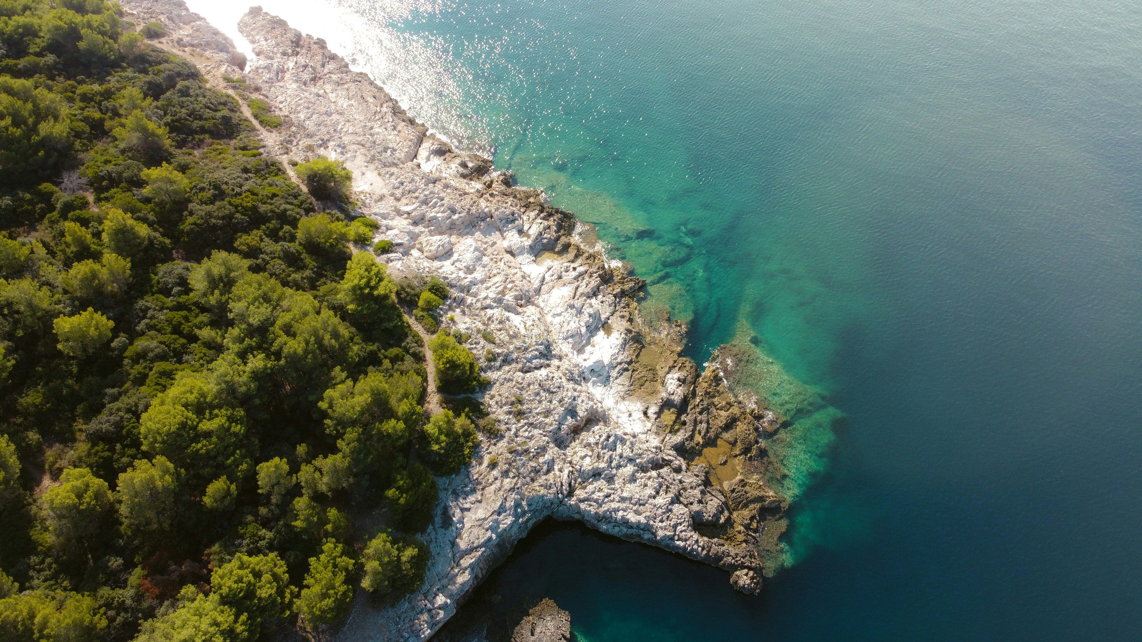 aerial view of green trees on rocky shore during daytime