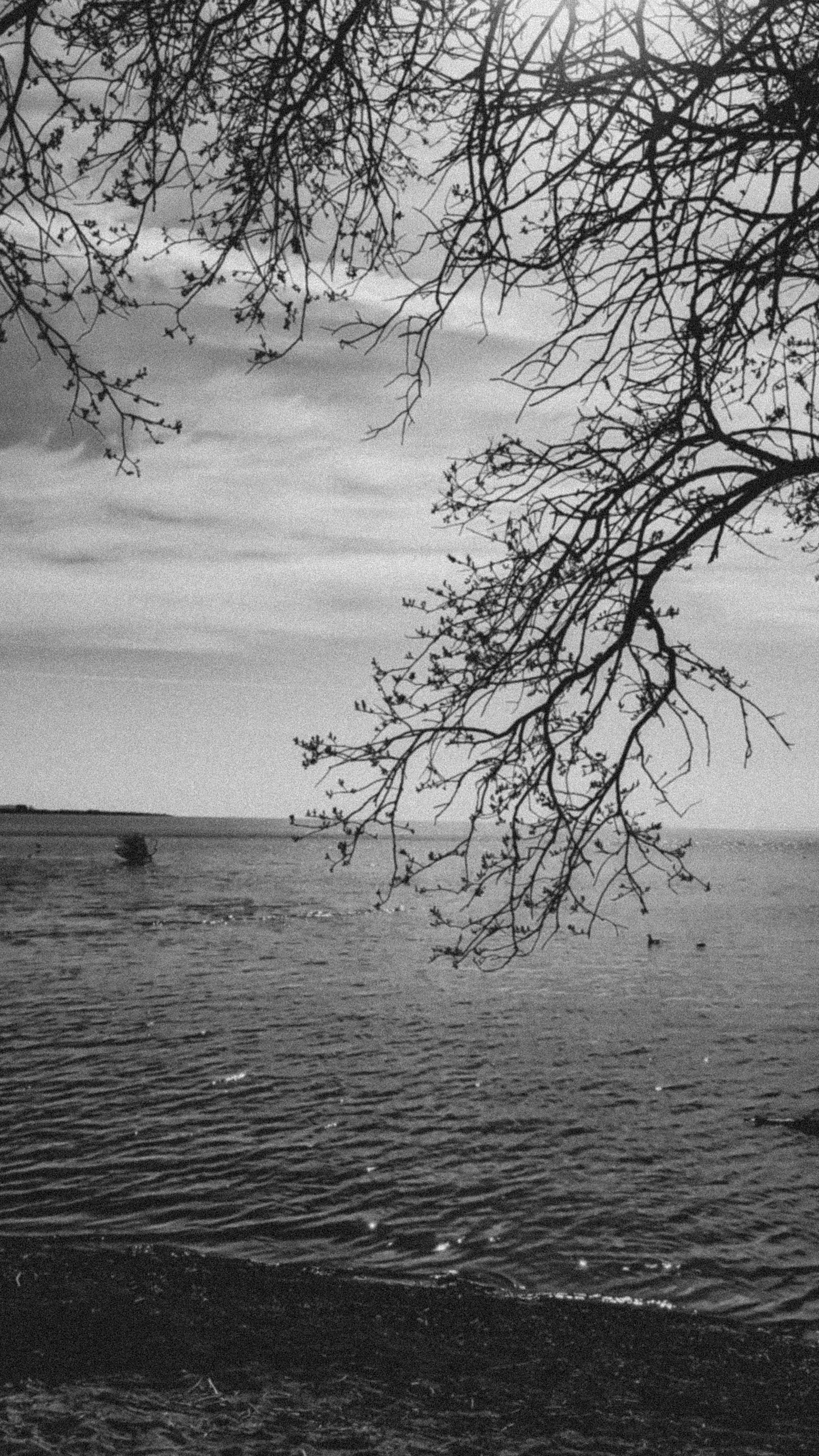 Photo by karthiksantosh_cks