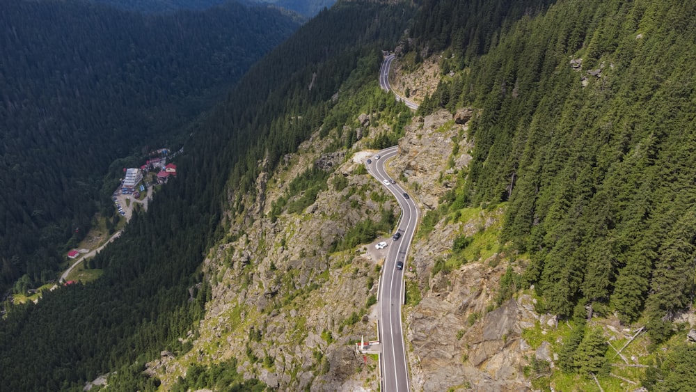 cars on road between green trees during daytime