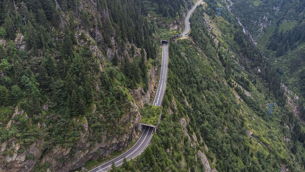 aerial view of gray concrete road between green trees during daytime