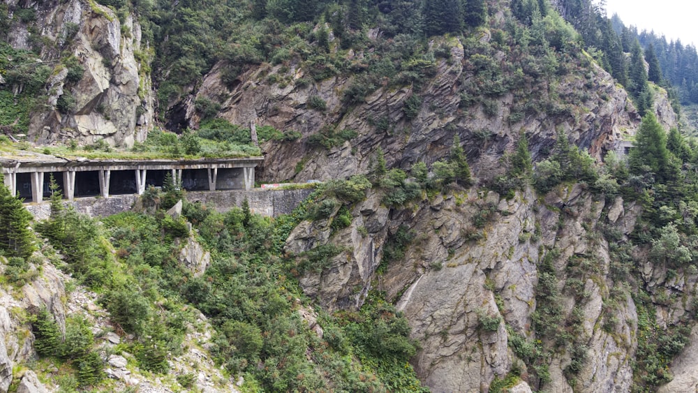 a train traveling along a mountain side next to a forest