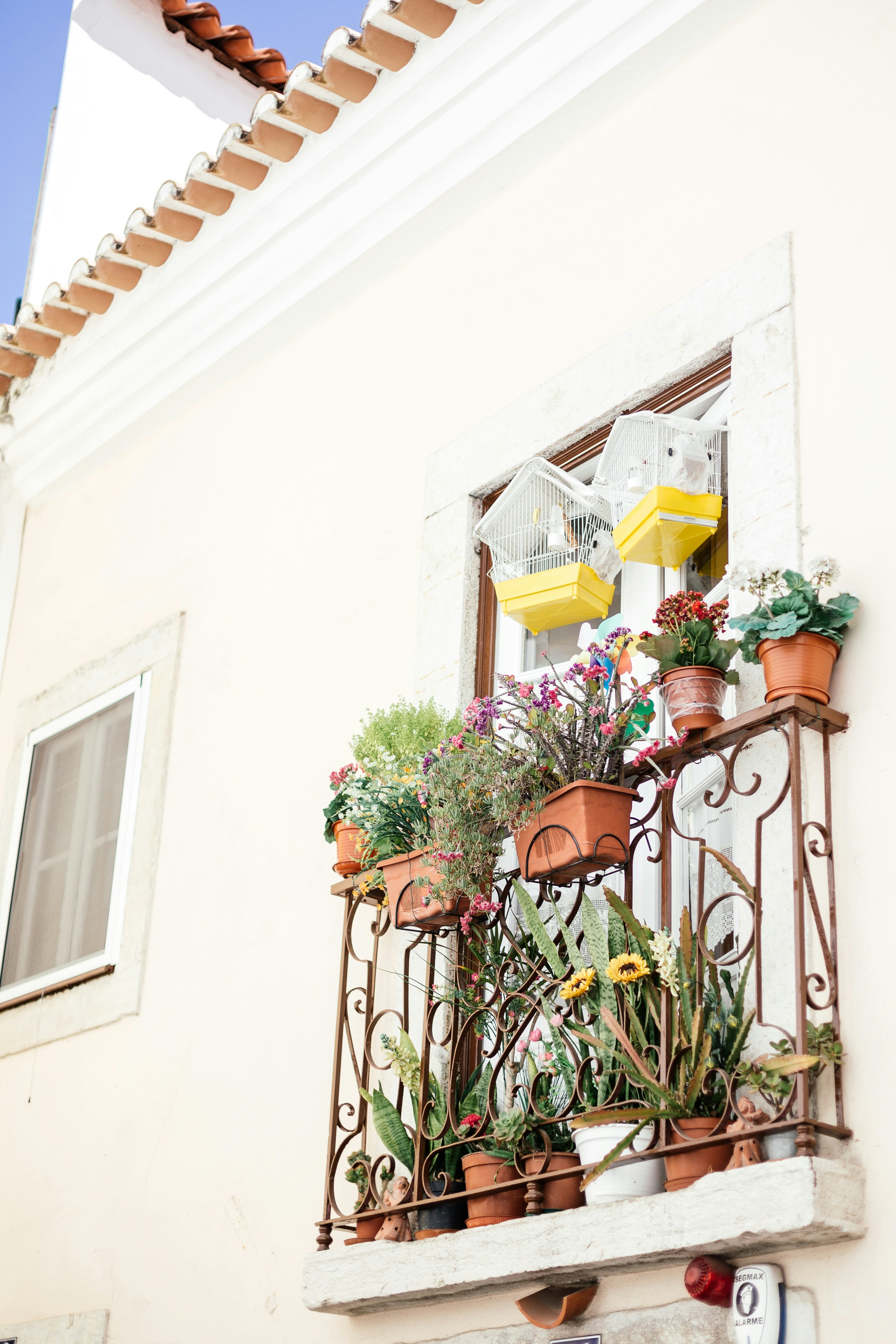 Photo by disfordario