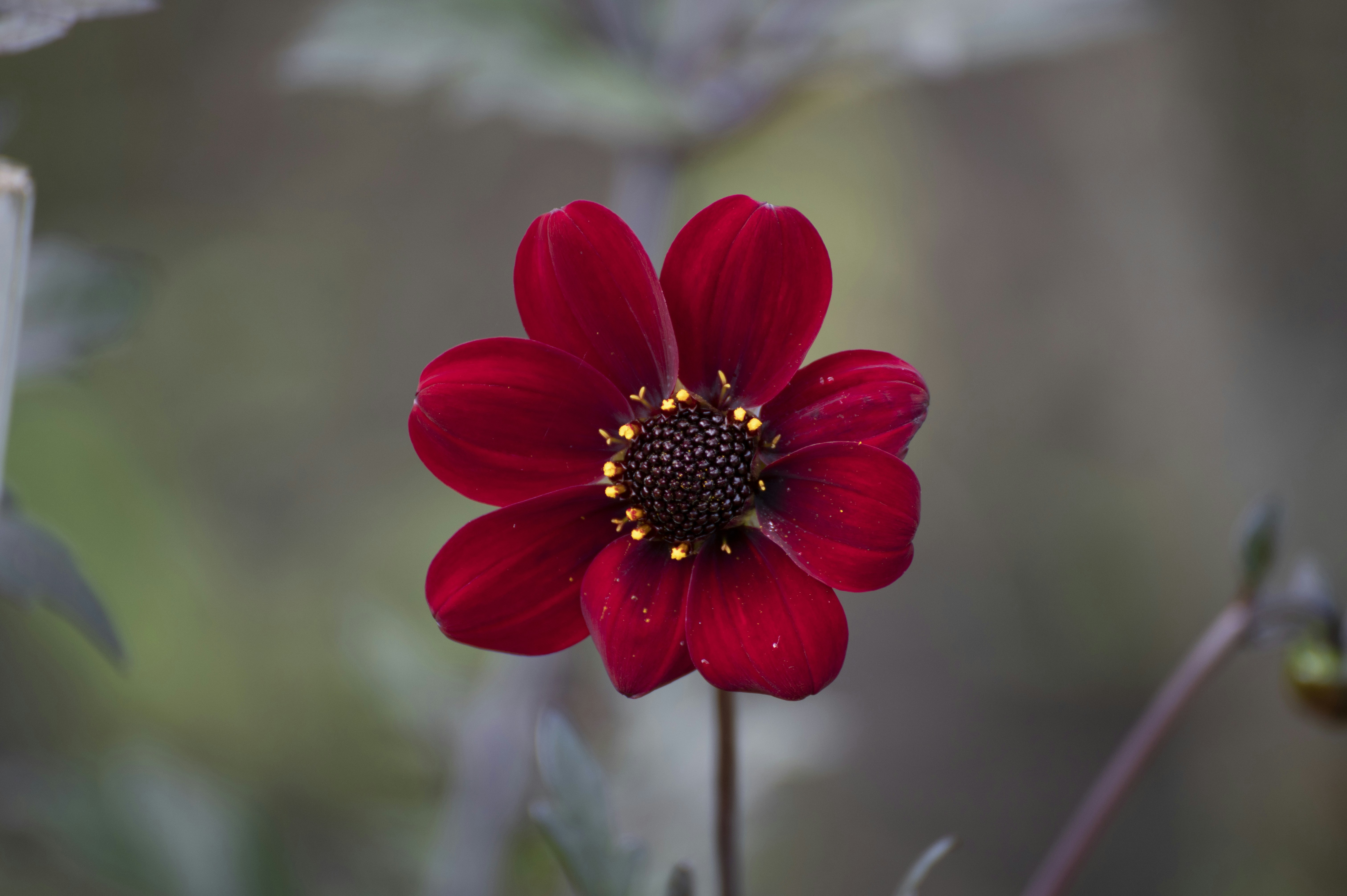 Photo by sommarvinden