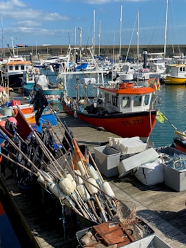 A picturesque harbor scene with numerous small fishing and recreational boats docked at the pier. Various fishing nets and equipment are neatly organized on the dock. The sunlight casts a gentle glow over the scene, with clear blue skies and a calm body of water reflecting the boats.