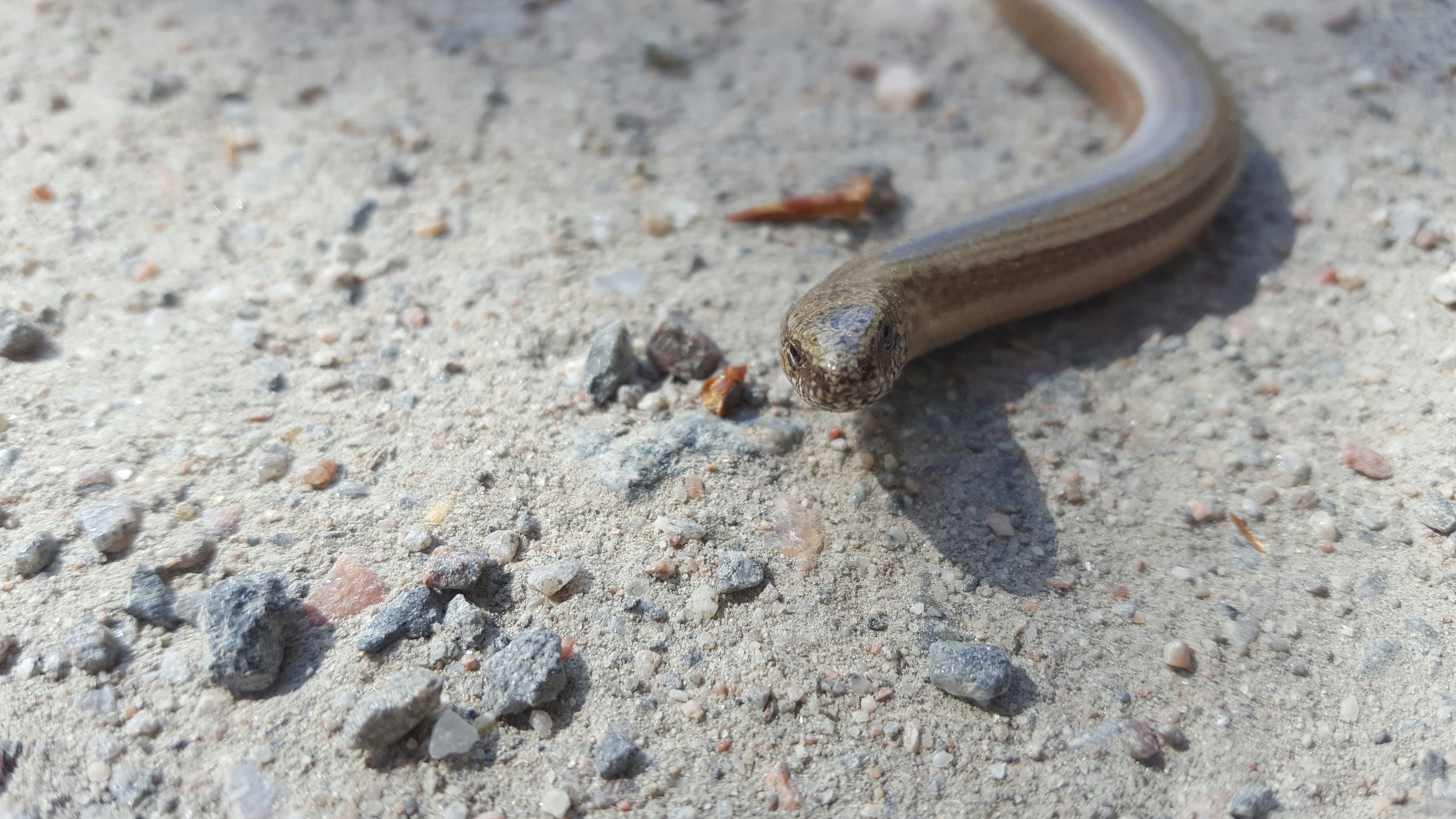 Photo by toredenstore