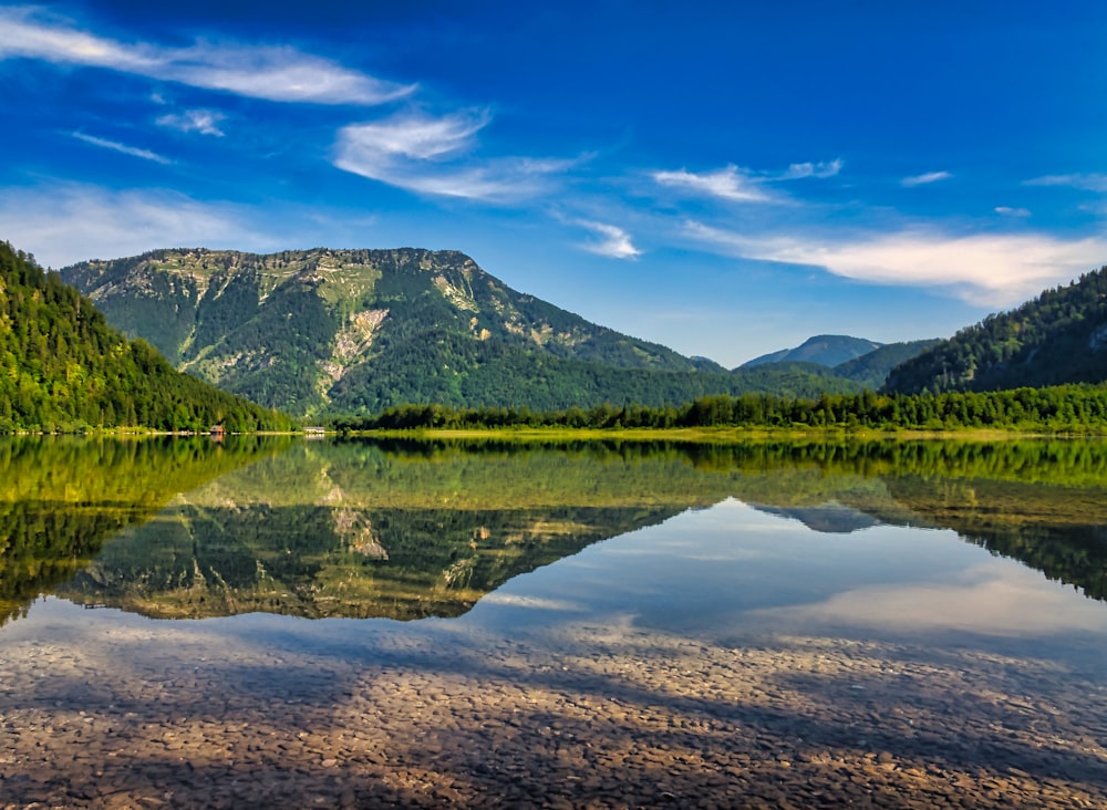 green grass field near lake and mountain under blue sky during daytime