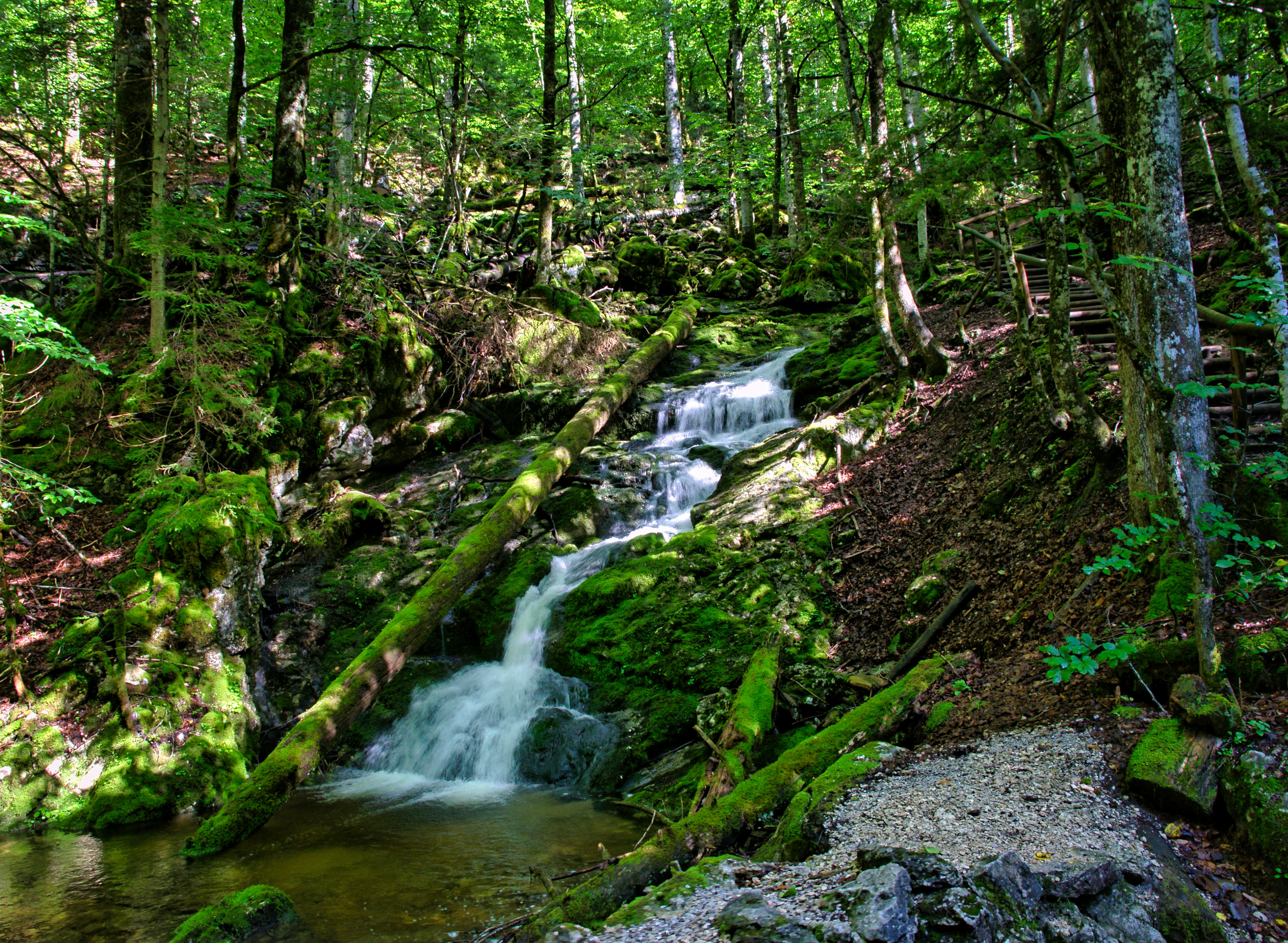 Photo by raimundschlager