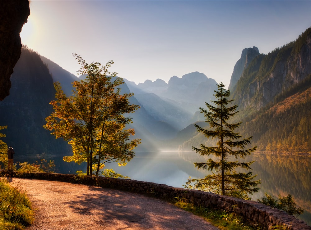 green trees near mountain during daytime