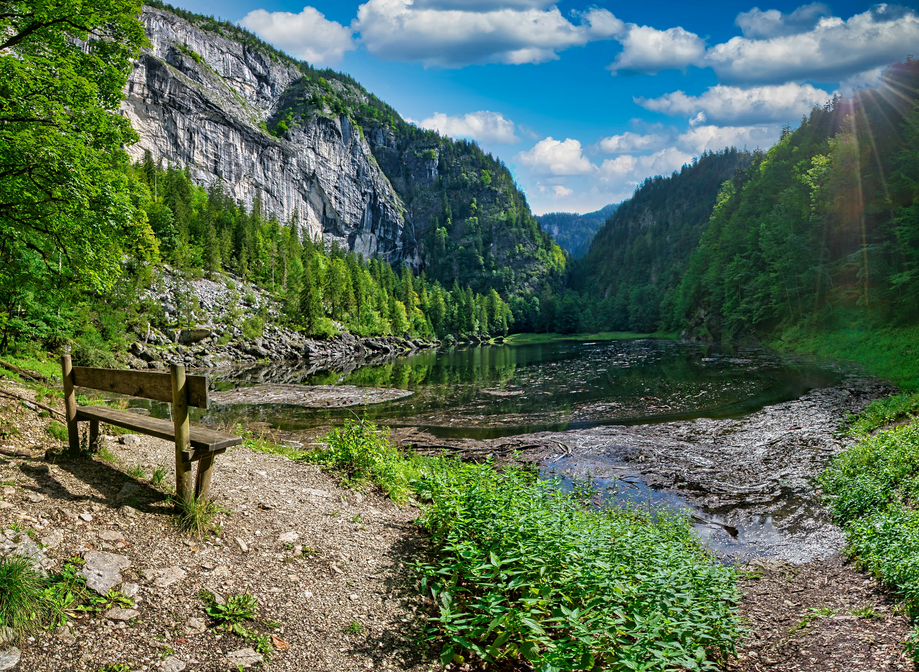 brown wooden bench on green grass field near river under blue sky during daytime