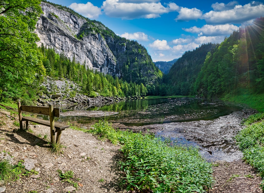 brown wooden bench on green grass field near river under blue sky during daytime