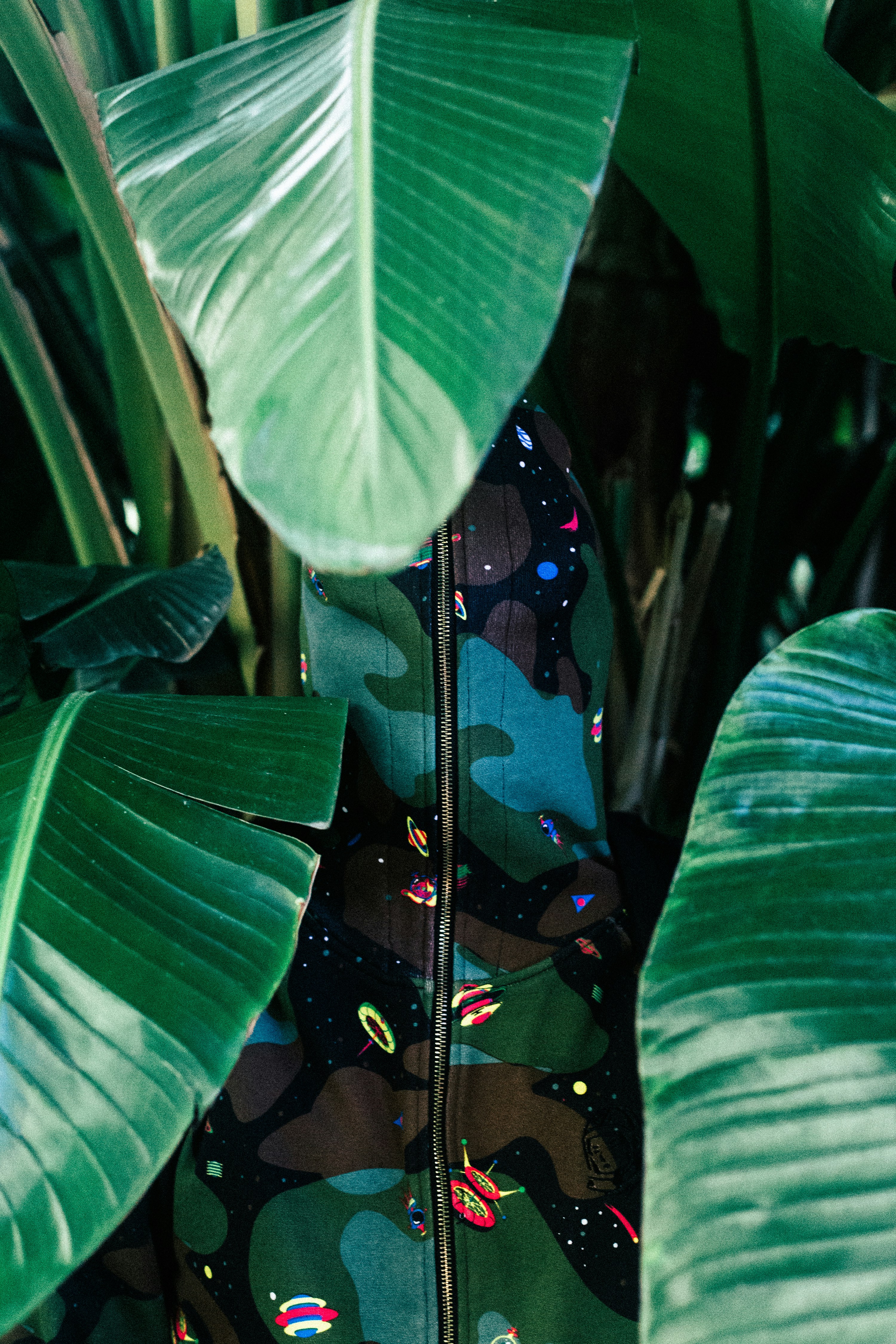 Nutrients For Anxiety Management