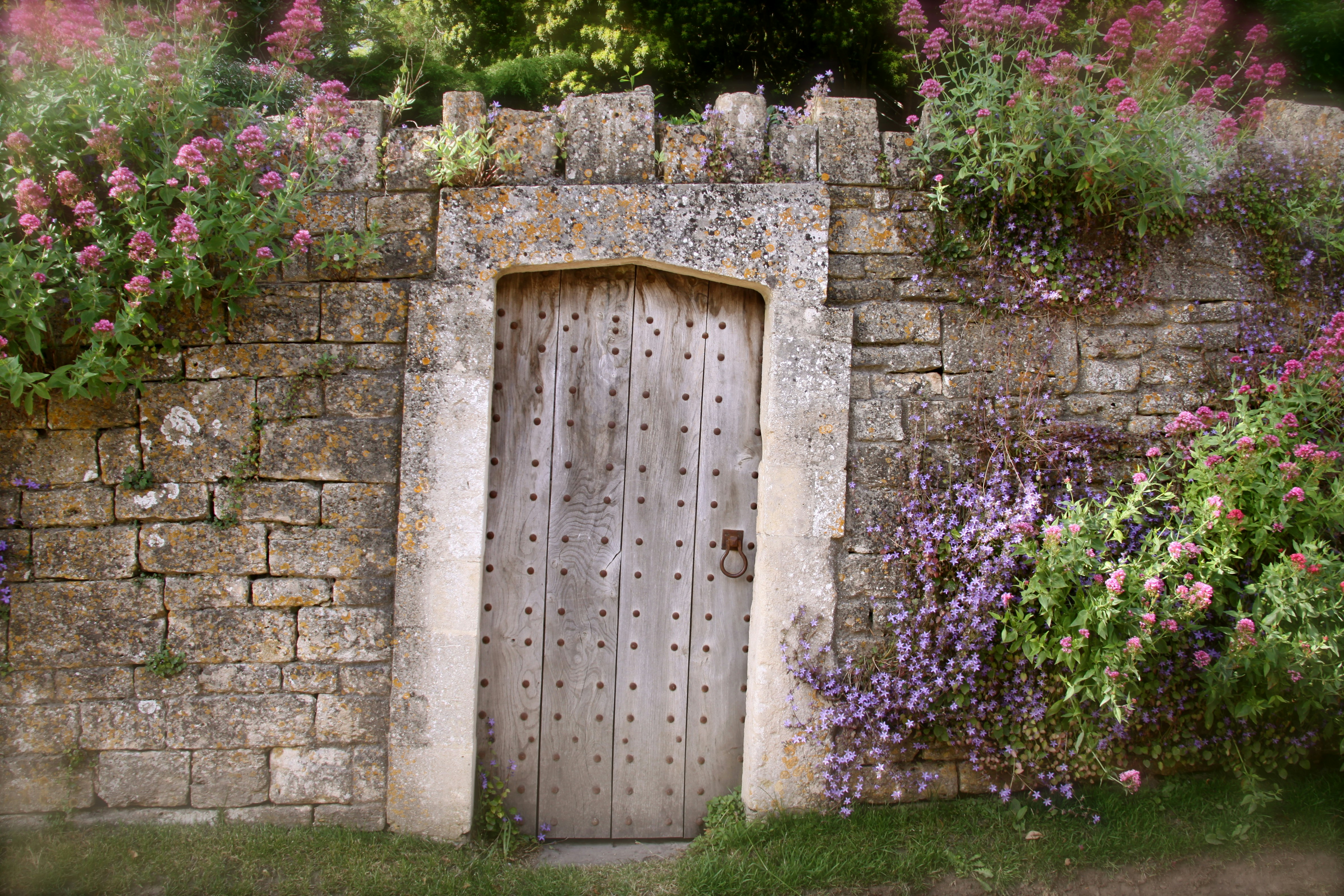 Photo by smudgedmascara