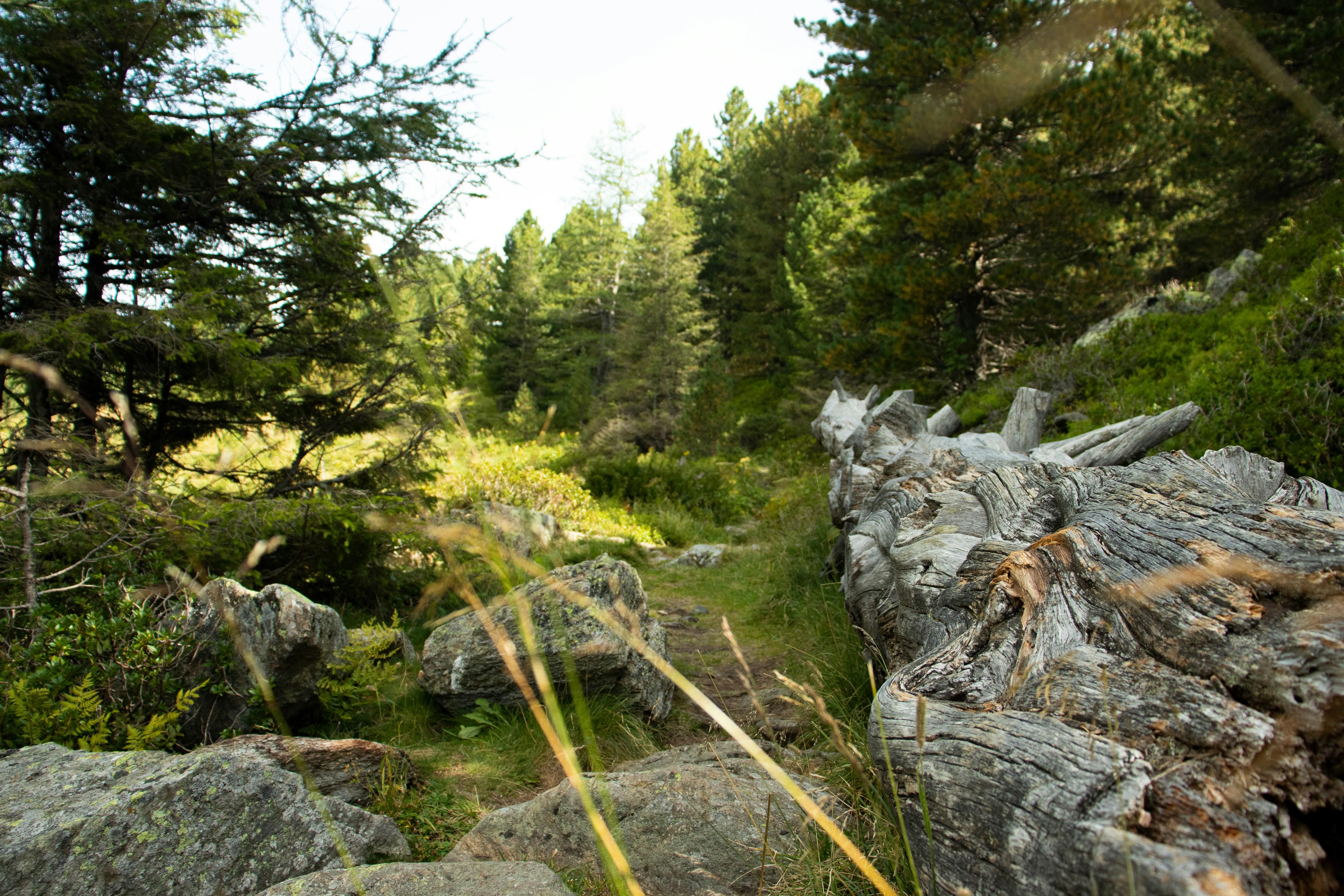 Photo by snowmountainer