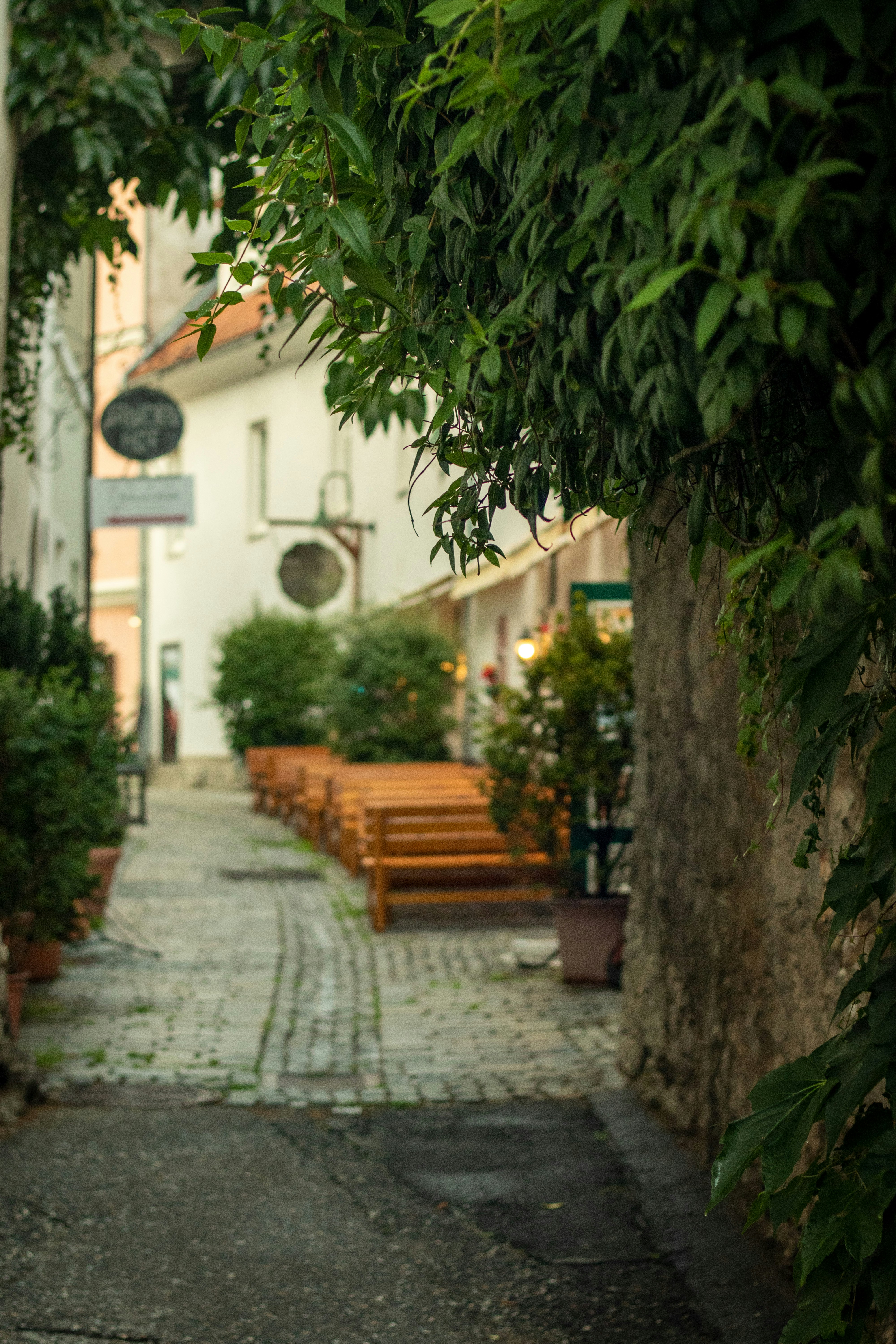 Photo by snowmountainer