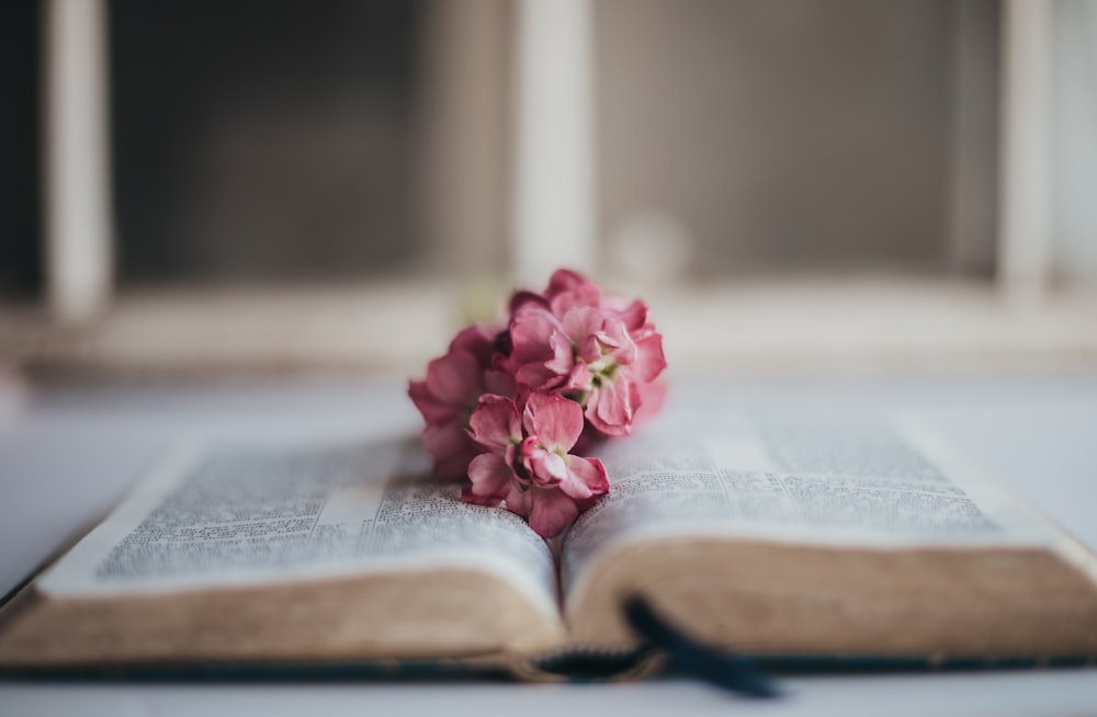 pink flowers on book page