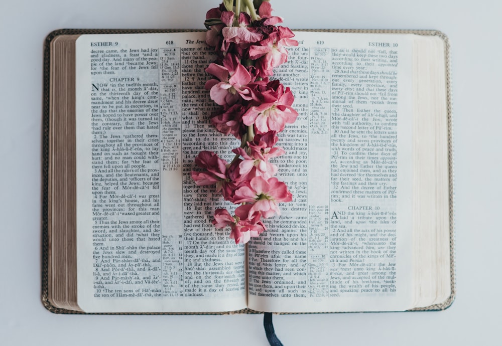 pink flower on book page