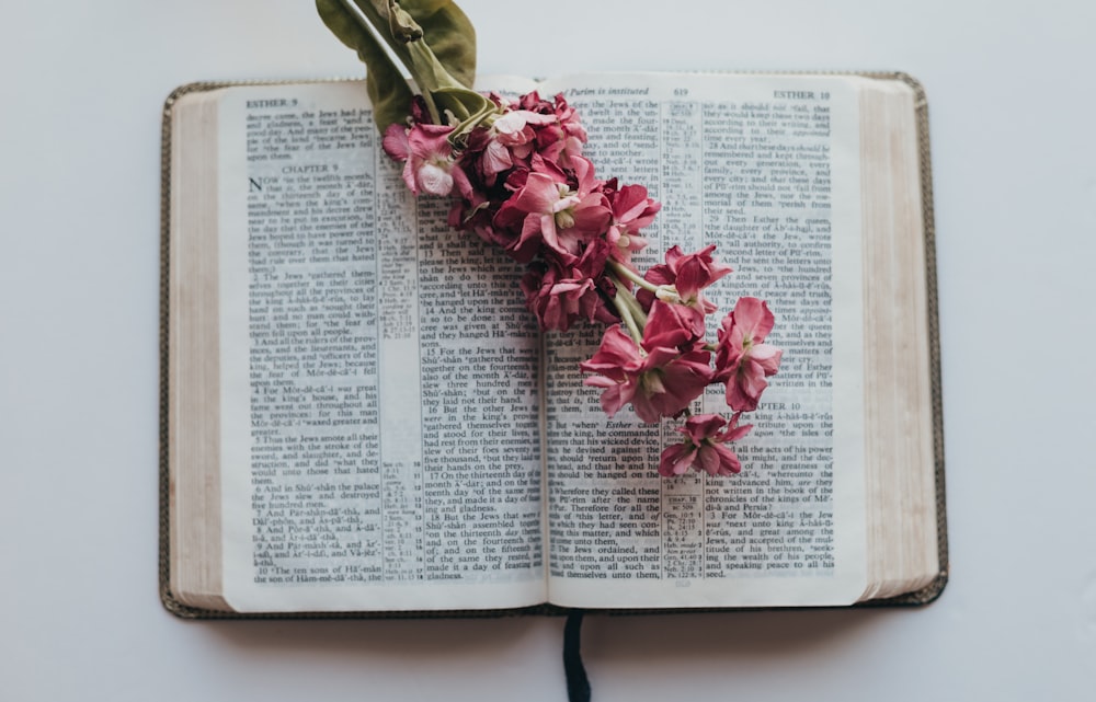 pink flowers on book page