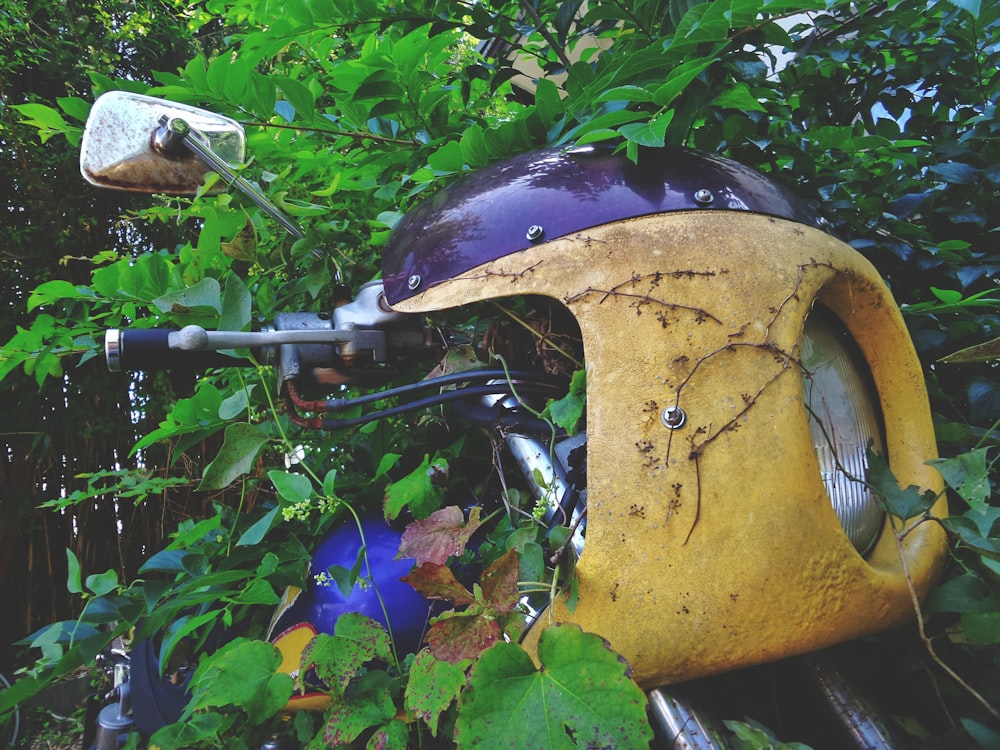 yellow motorcycle near green plants