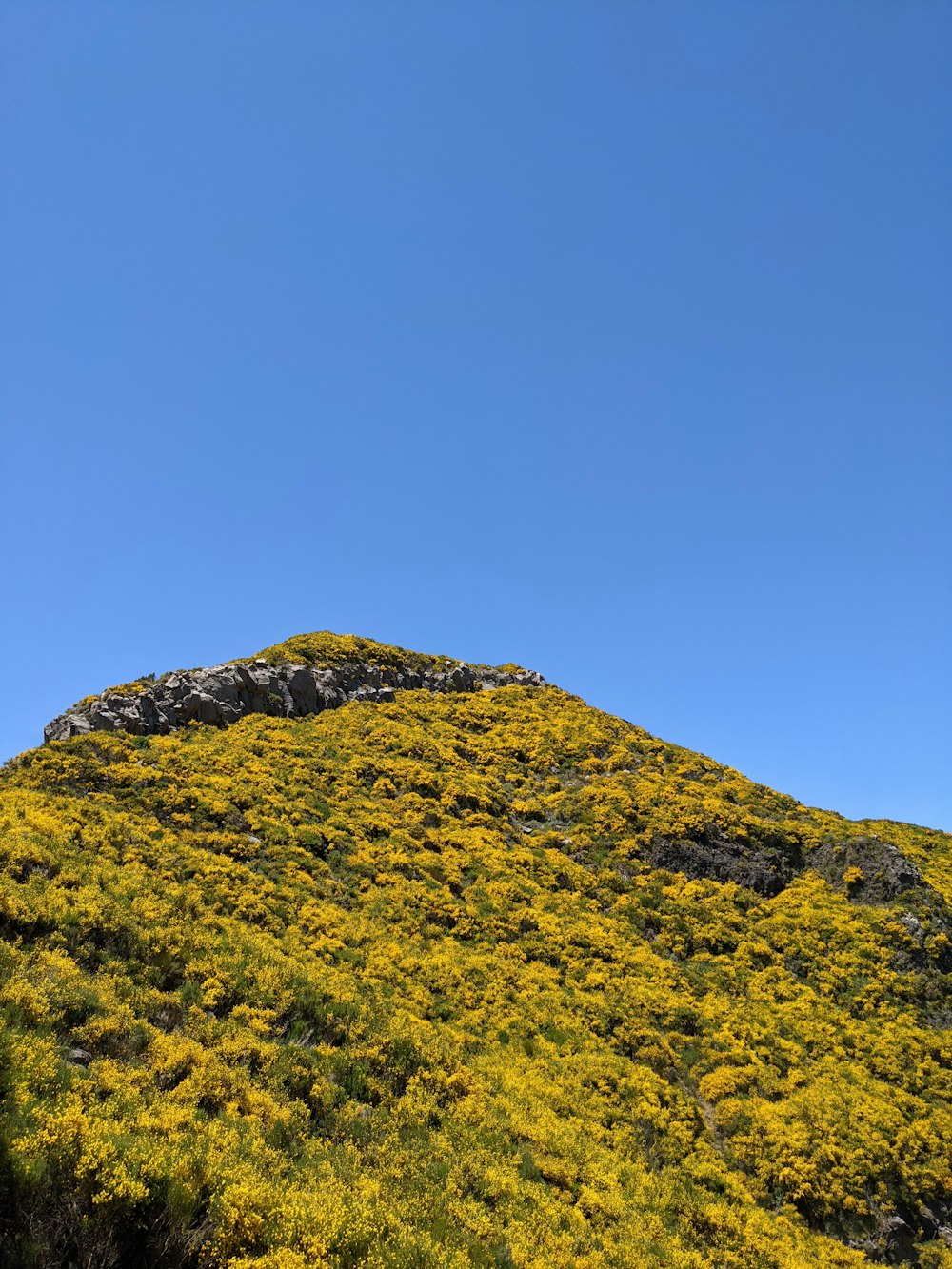 green grass covered mountain under blue sky during daytime