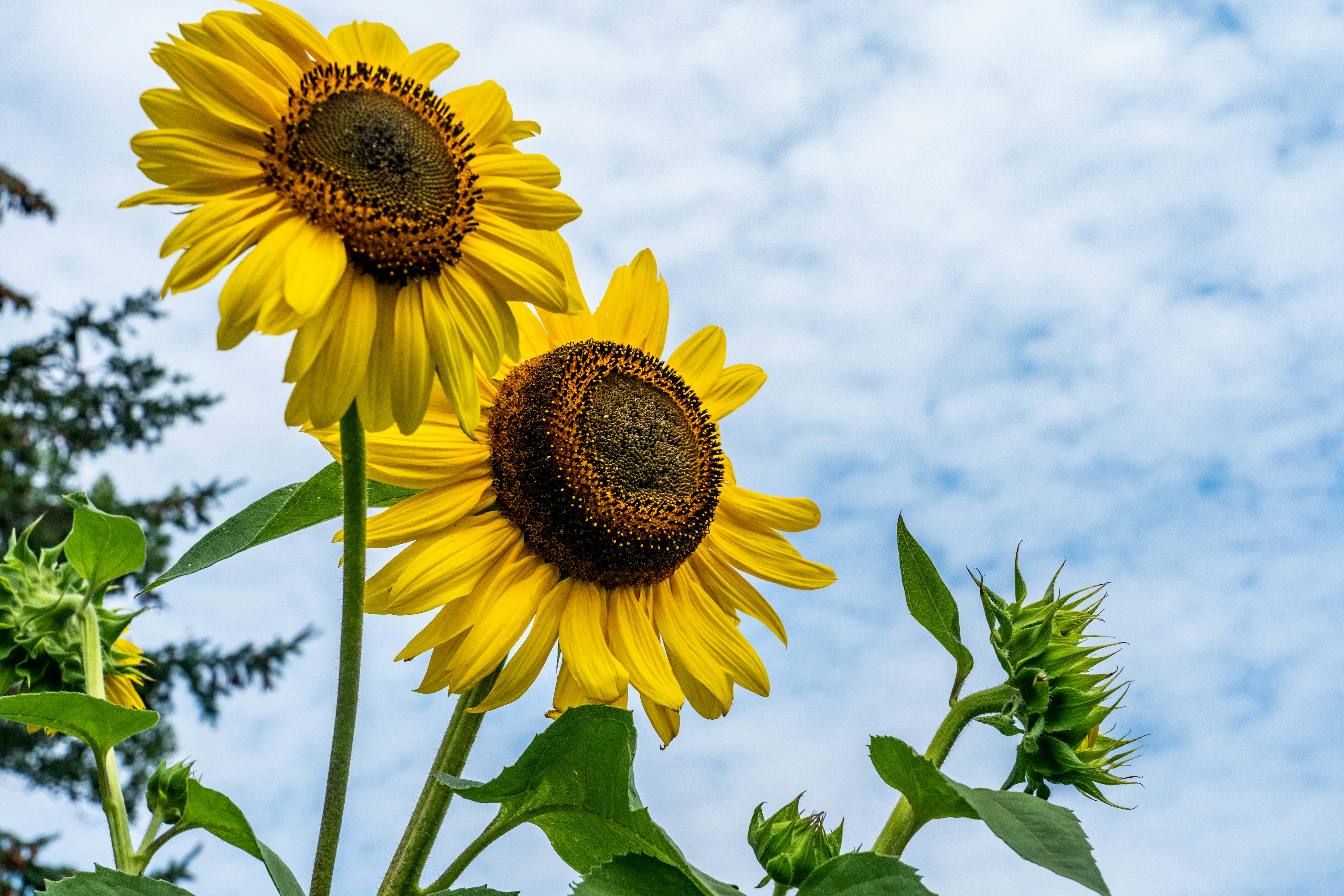 Photo by chris_robert