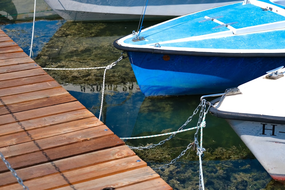 blue and white boat on dock during daytime