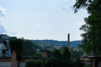 A scenic view of a house with a prominent chimney.