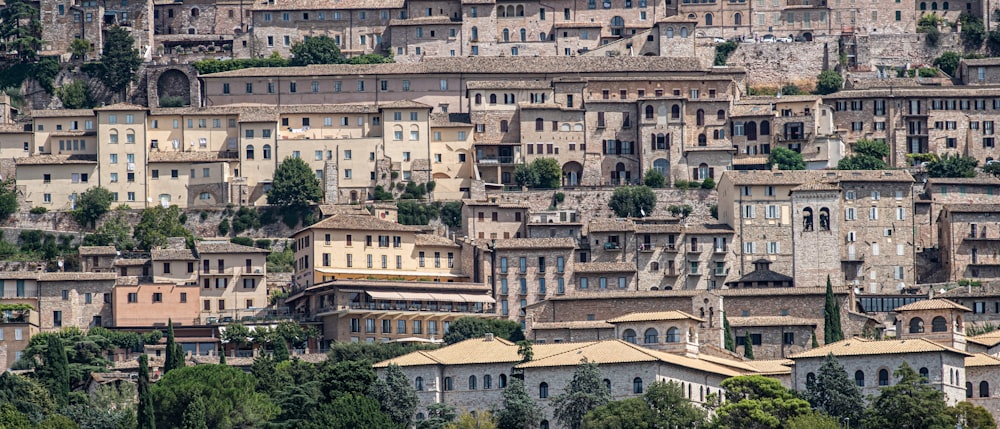 edificio in cemento marrone vicino agli alberi verdi durante il giorno