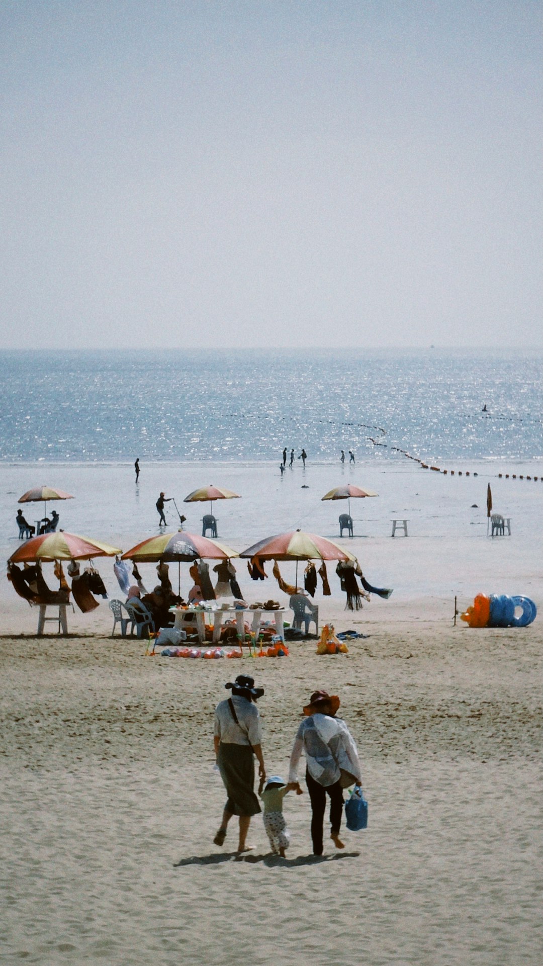 people on beach during daytime