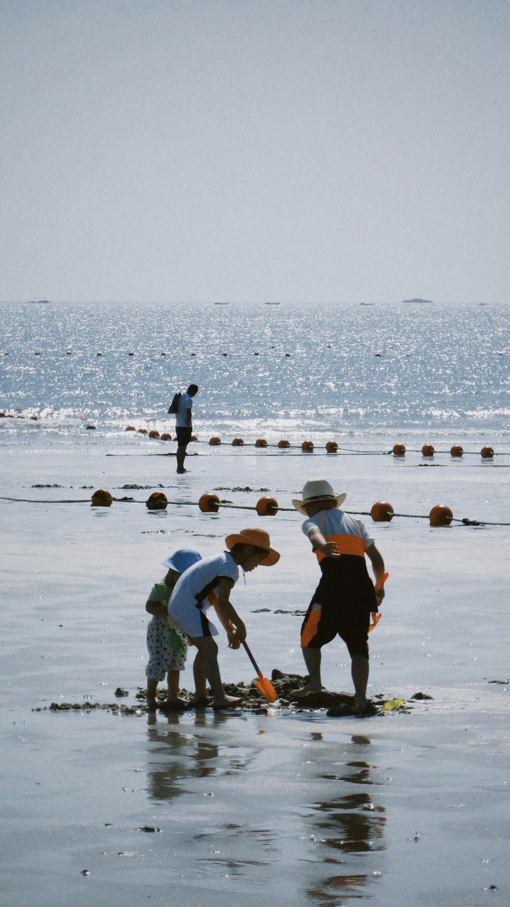 people on beach during daytime