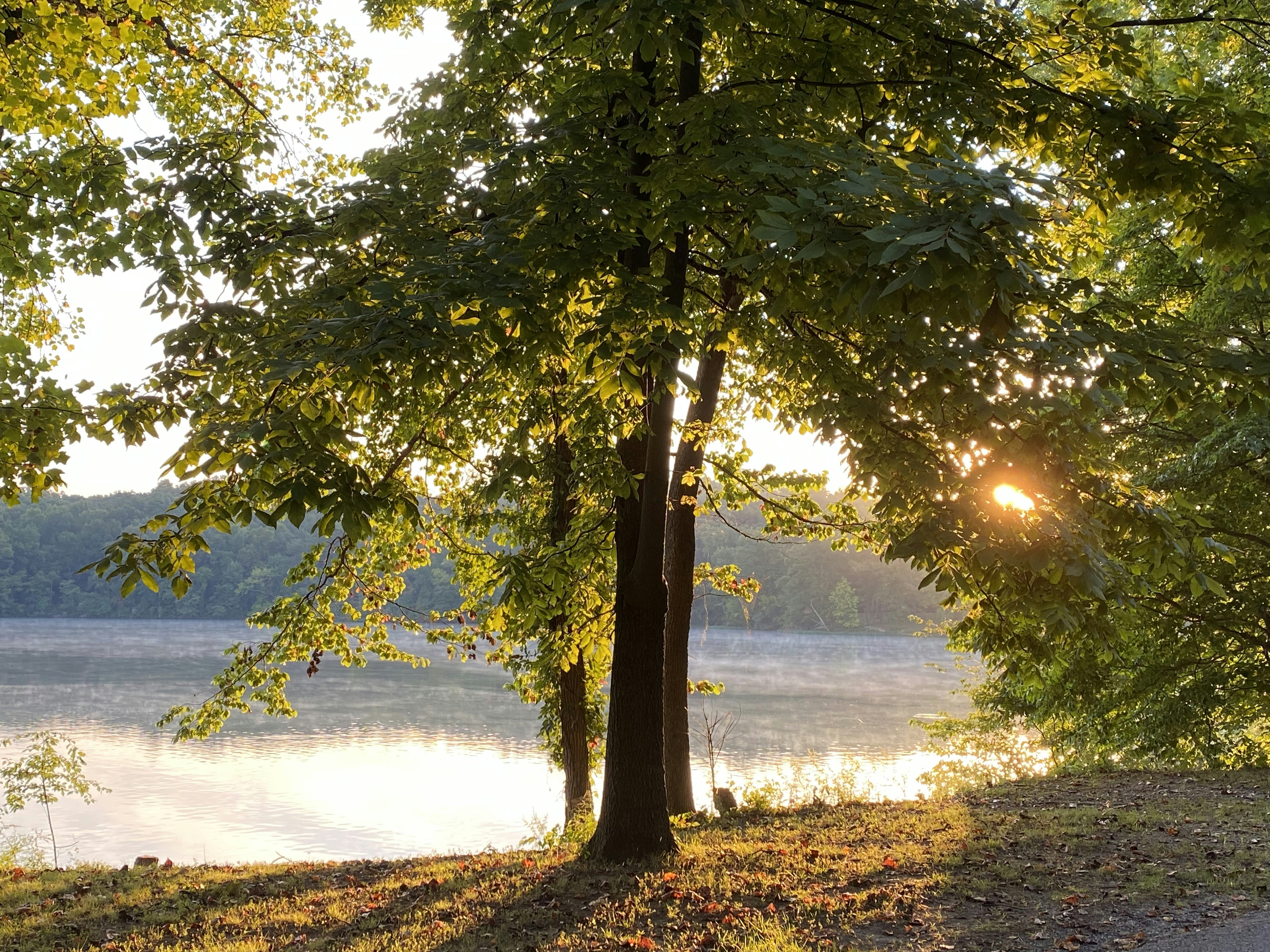 Photo by cindydragon