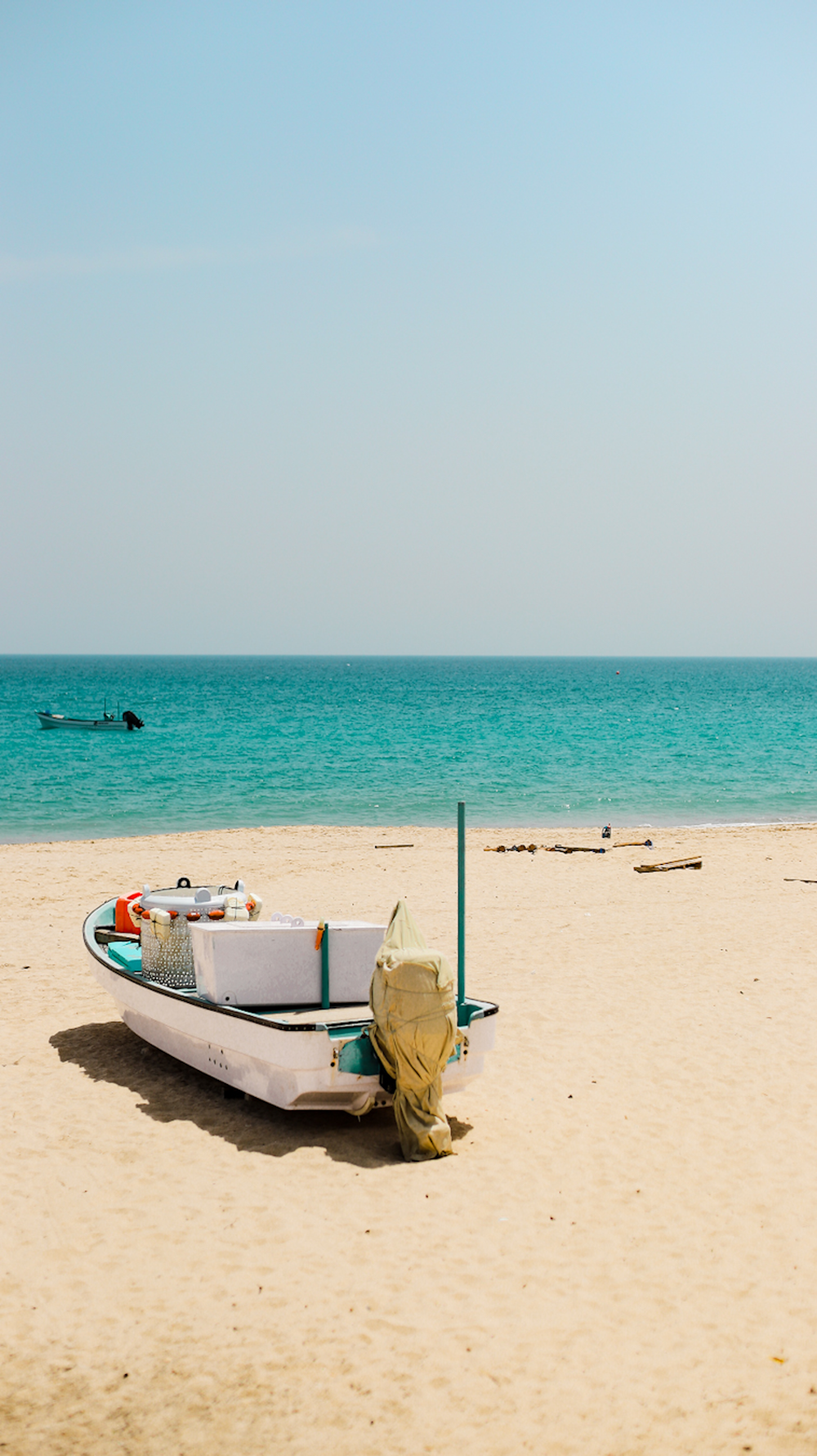 white and brown boat on beach during daytime