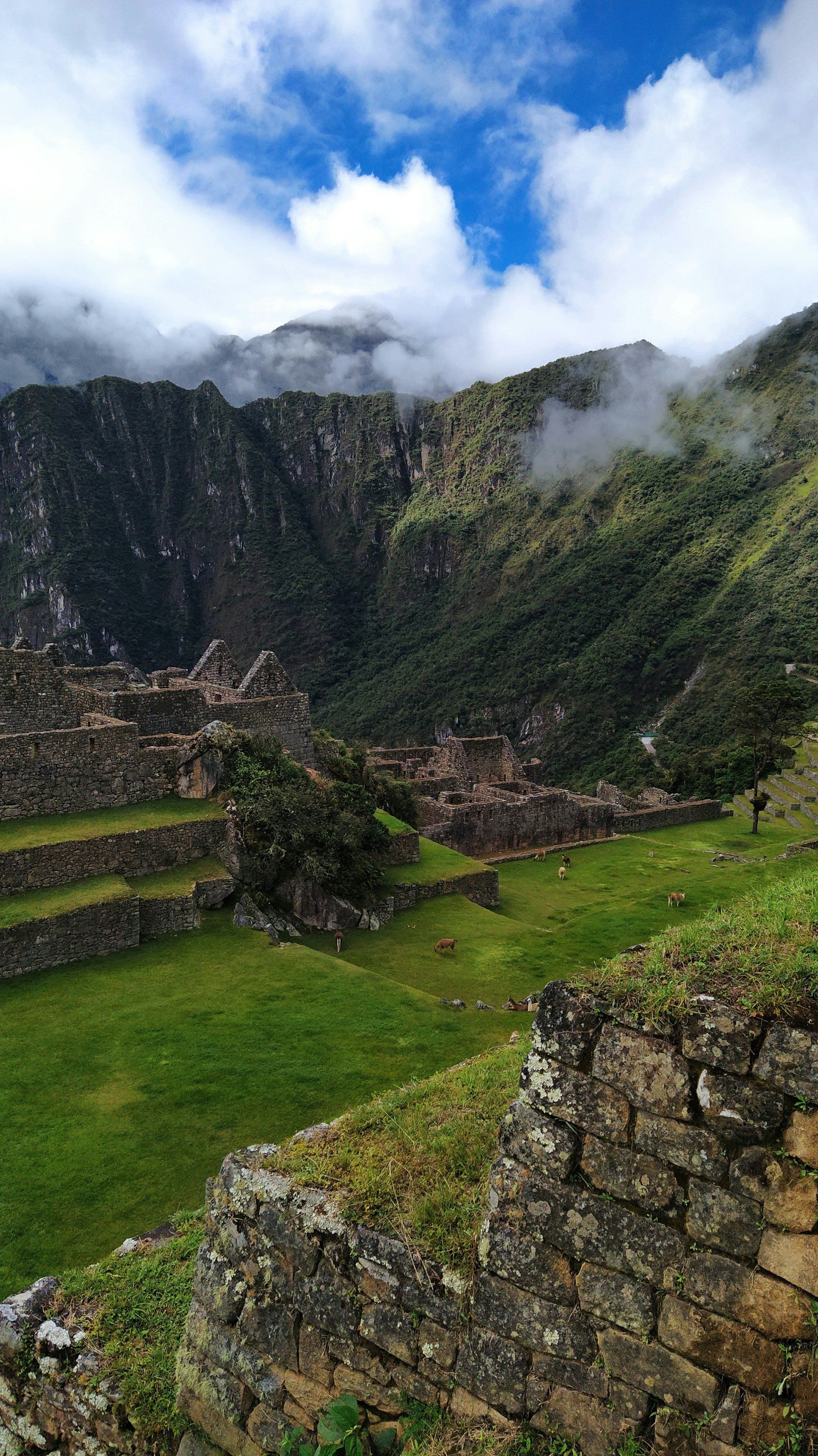 photo-1630249931457-9bcd3e7bba52?ixid=M3wxMjA3fDB8MXxzZWFyY2h8MjB8fGMlQzMlQjNkaWdvJTIwcHJvbW9jaW9uYWwlMjBkZSUyMDF4YmV0JTIwcGVyJUMzJUJBJTIwMjAyNiUzQSUyMDF4d2FwfGVufDB8fHx8MTc2NzgwNjk0M3ww\u0026ixlib=rb-4.1.0