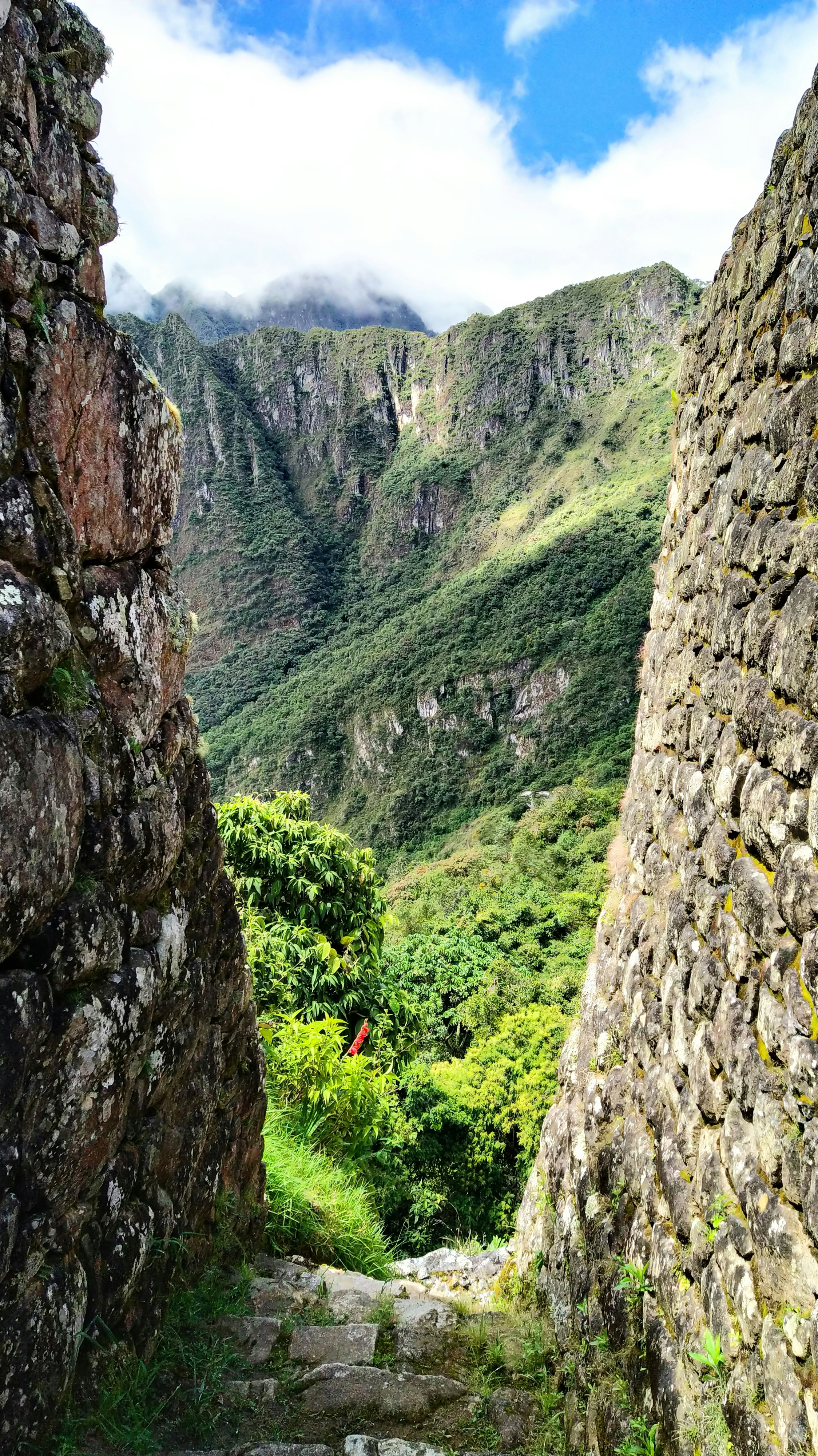 green grass on rocky mountain during daytime