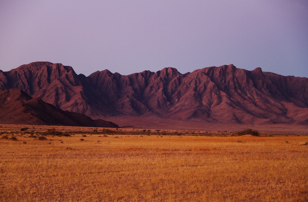 brown mountain under gray sky during daytime