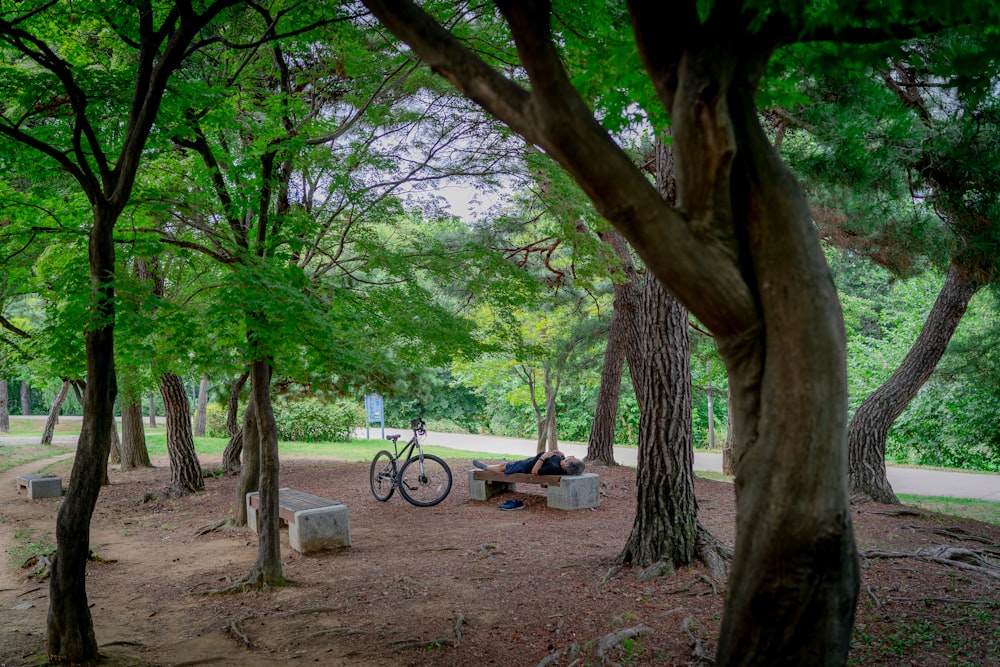 black bicycle parked beside green tree during daytime