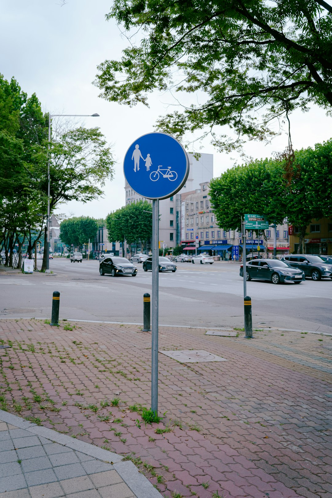 blue and white road sign