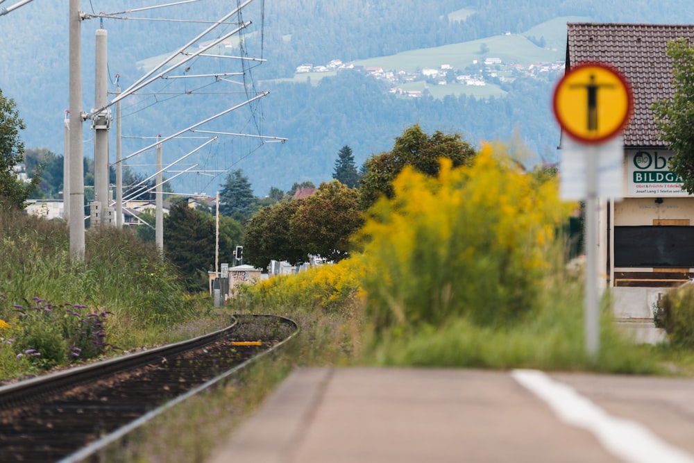 green trees beside train rail during daytime