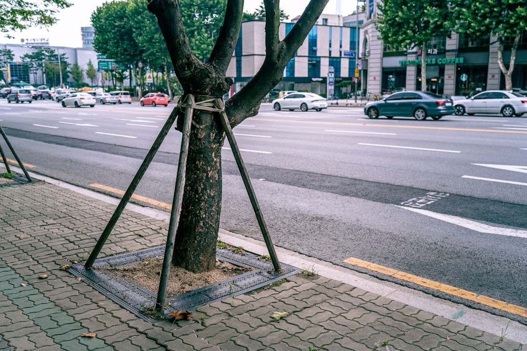 cars parked on side of the road during daytime