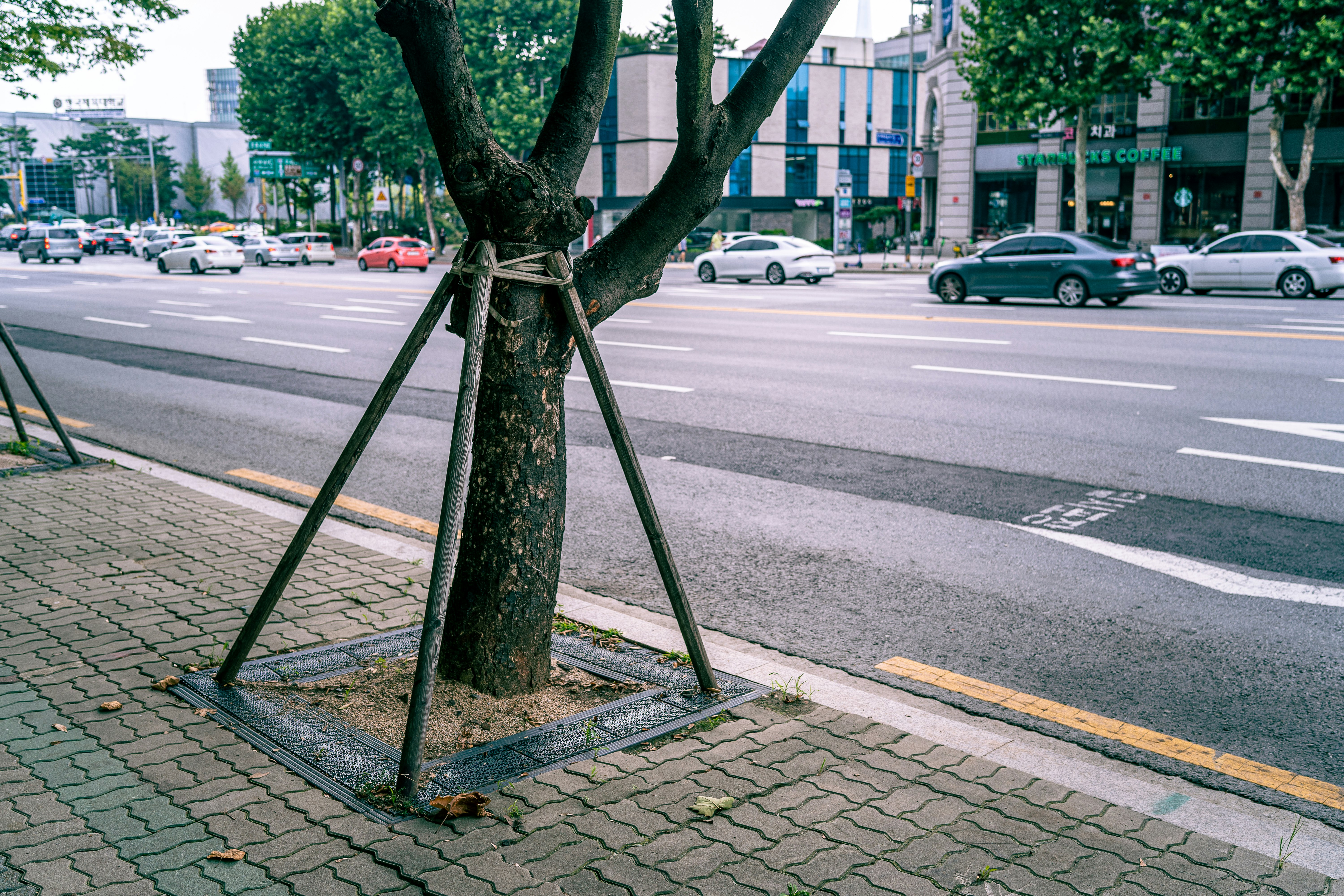 cars parked on side of the road during daytime