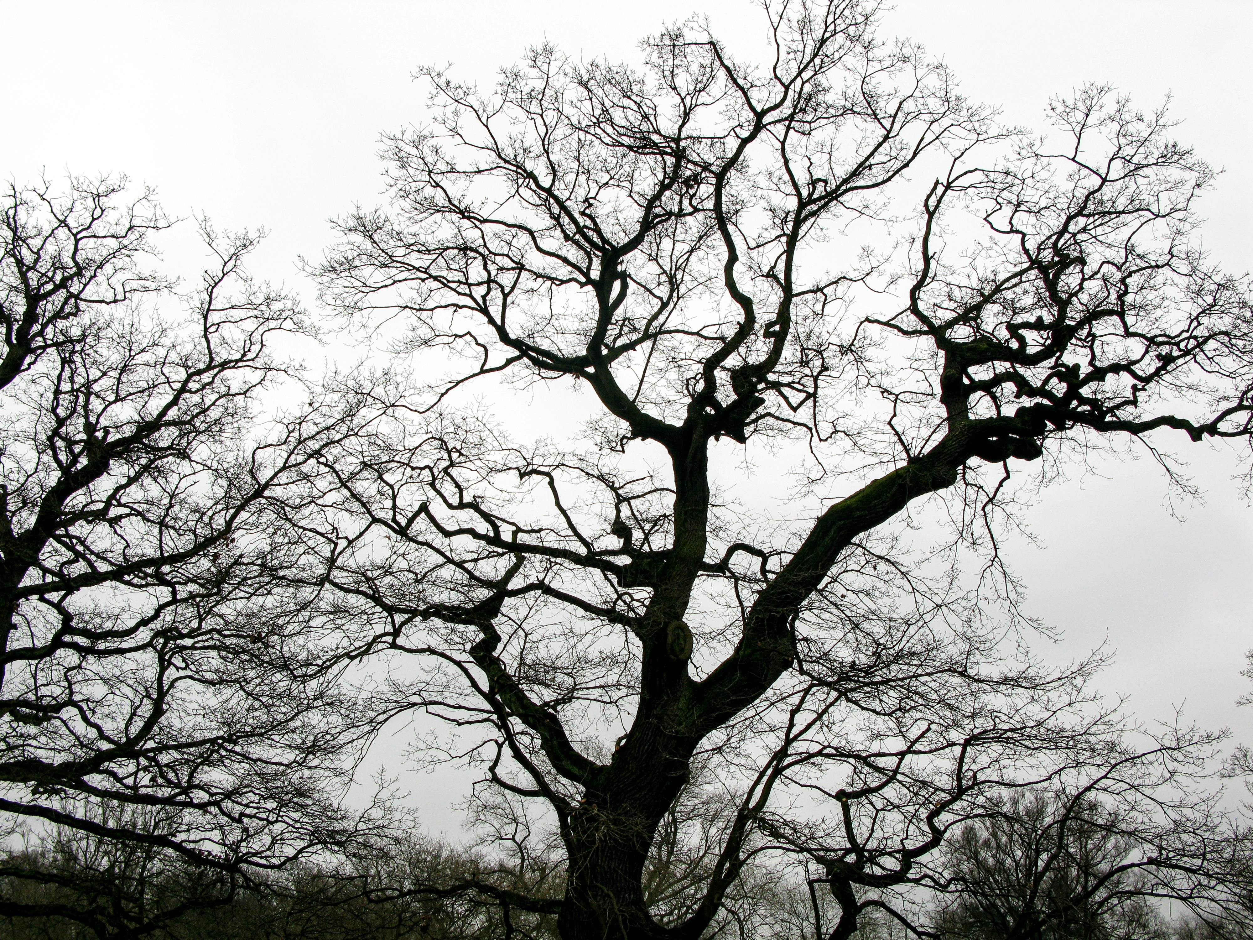 Photo by wilhelmgunkel